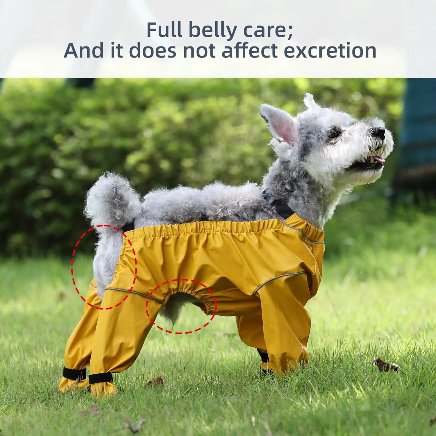 ASENKU Dog Shoes for Small Dogs, Soft Adjustable Dog Clothes with Dog Boots, Waterproof Anti-Slip Dog Boots & Paw Protectors for Rainy Days, Outdoor Walking, Running, Hiking (Yellow, S)