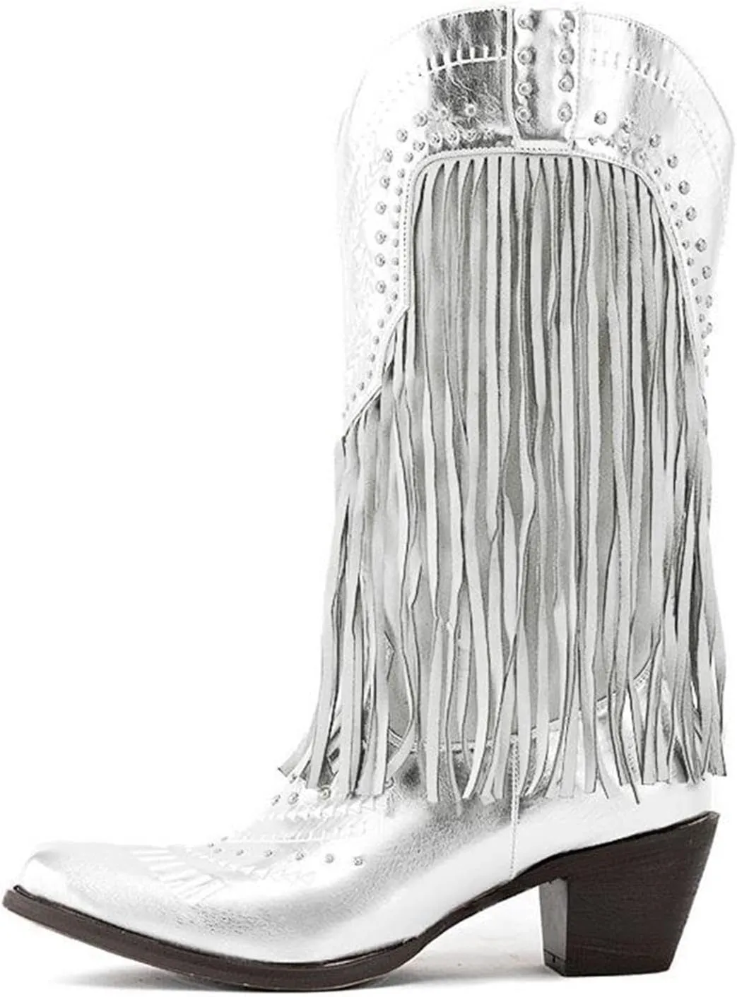 GORBINETI Fringe Boots for Women Tassels Cowboy Boots Knee High Western Boots